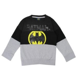 Boys batman color block sweatshirt